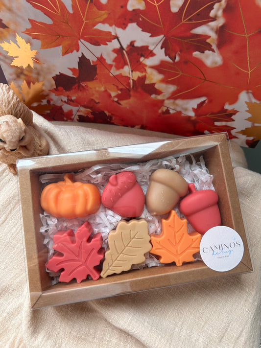 WAX MELTS CAJA GRANDE