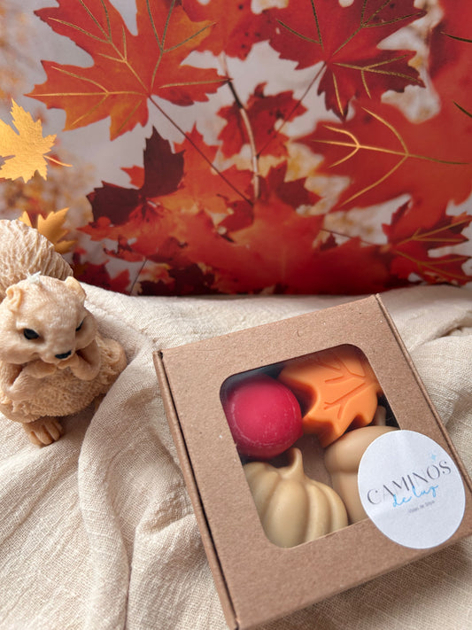 WAX MELTS CAJA CHICA