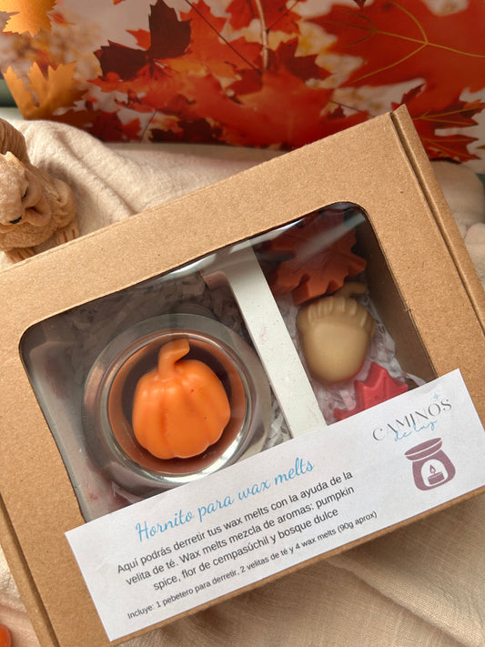 KIT WAX MELTS OTOÑO