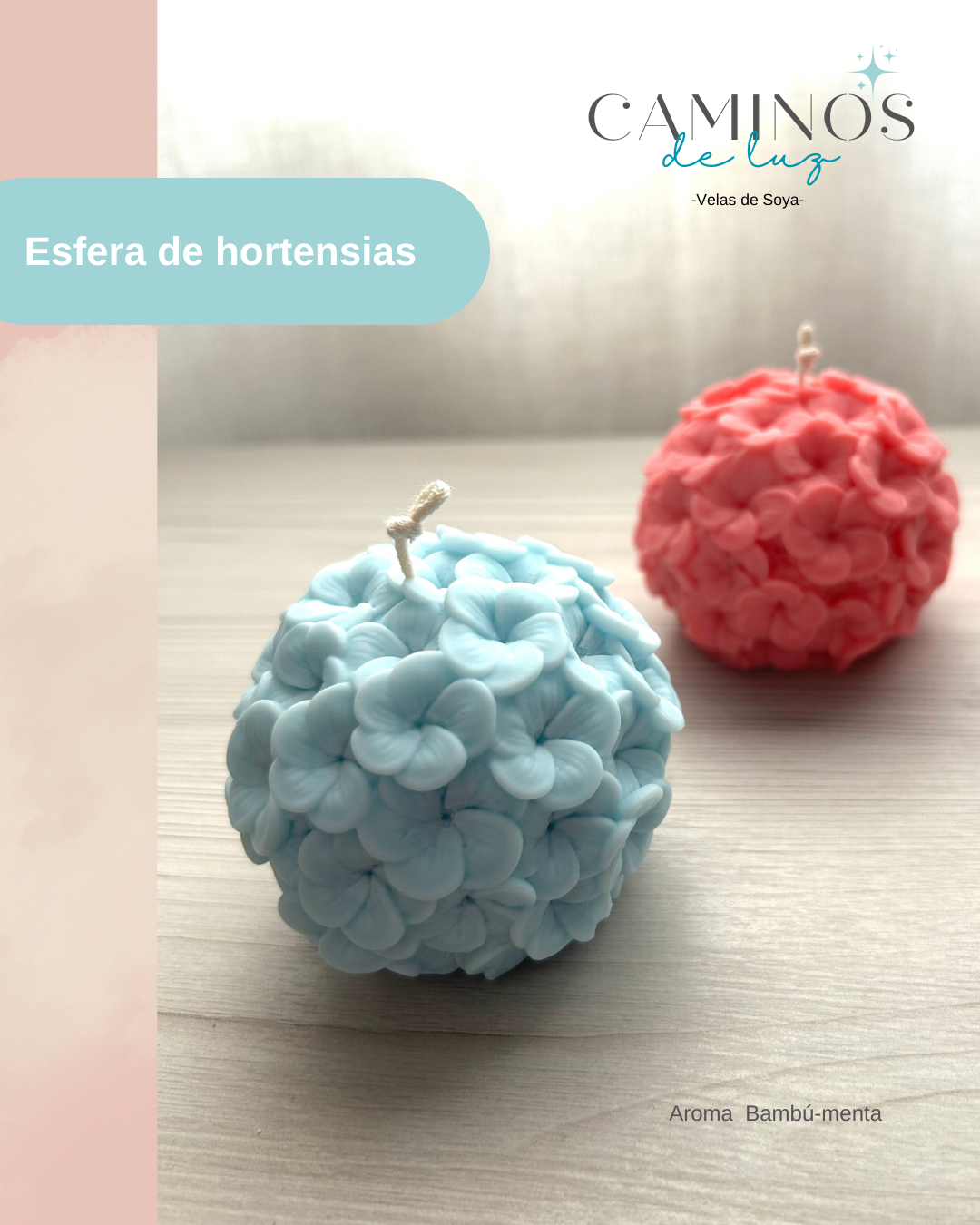 ESFERA DE HORTENSIAS