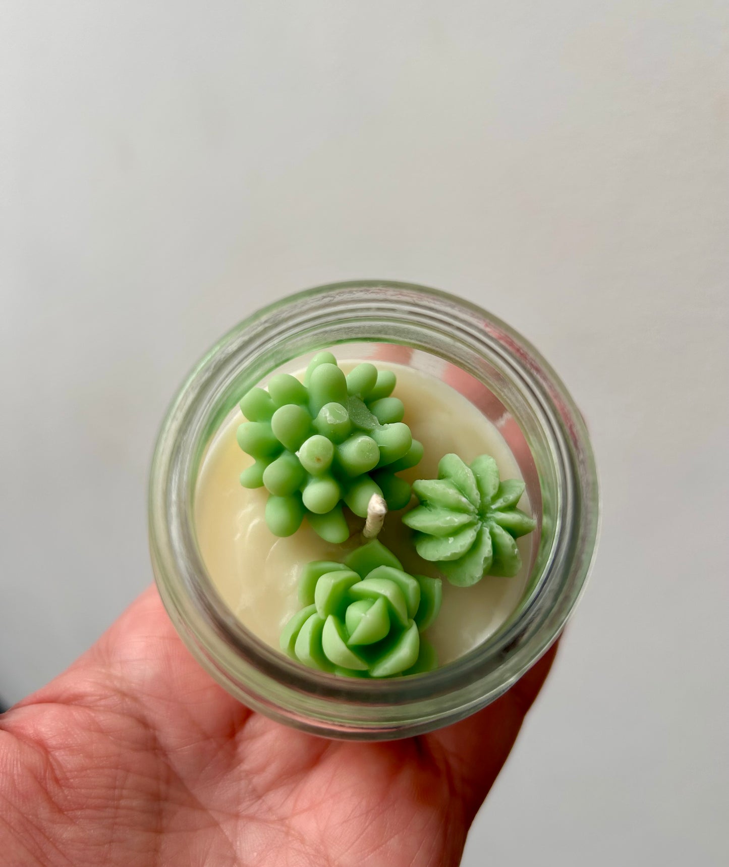 MINI TERRARIO